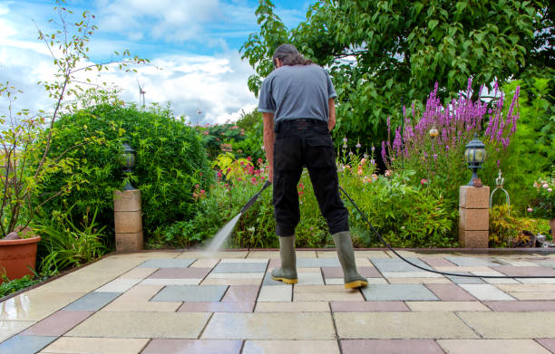 Best Driveway Pressure Washing  in Champion Heights, OH